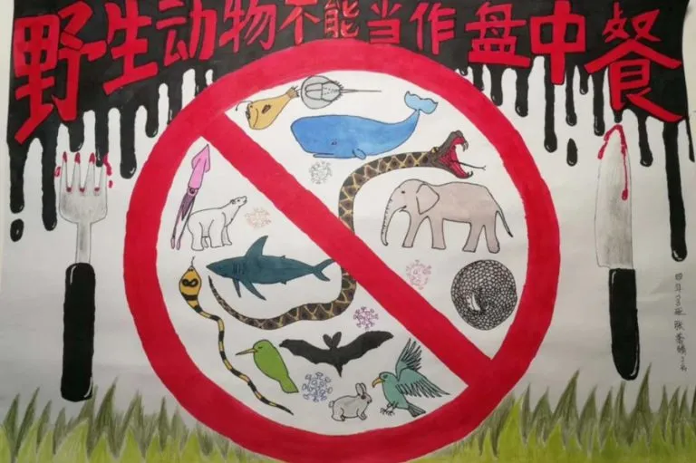 What do animals eat